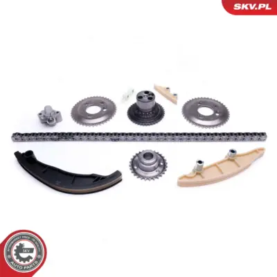 Kit catena distribuzione per Ford Ranger (TKE) Transit Bus Transit Van 081827