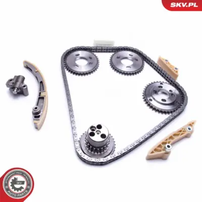 Kit catena distribuzione per Ford Transit Bus Transit Platform/Chassis