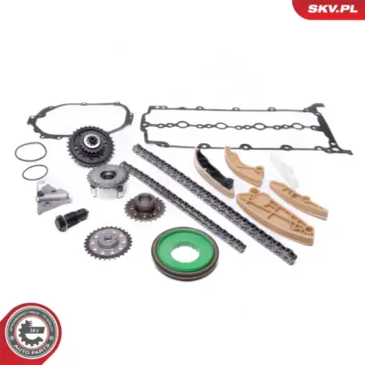 Kit catena distribuzione per Land Rover Range Rover Evoque (L538 L551) AJ813317