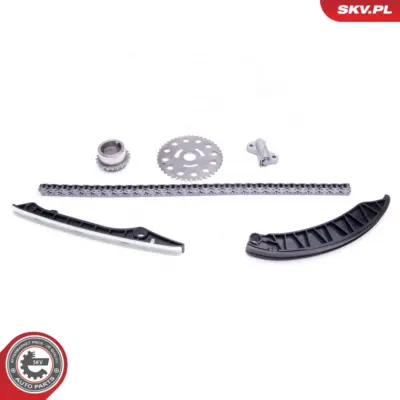 Kit catena distribuzione per Renault Master III Platform/Chassis (EV) 1302800Q1F