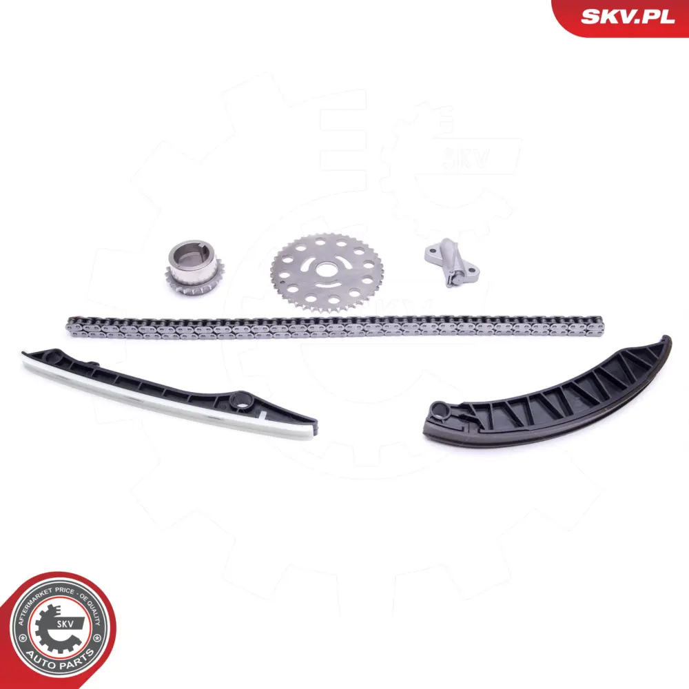 Kit catena distribuzione per Renault Master III Platform/Chassis (EV) 1302800Q1F