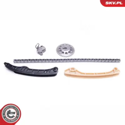 Kit catena distribuzione per Smart Forfour (454) 1607580880