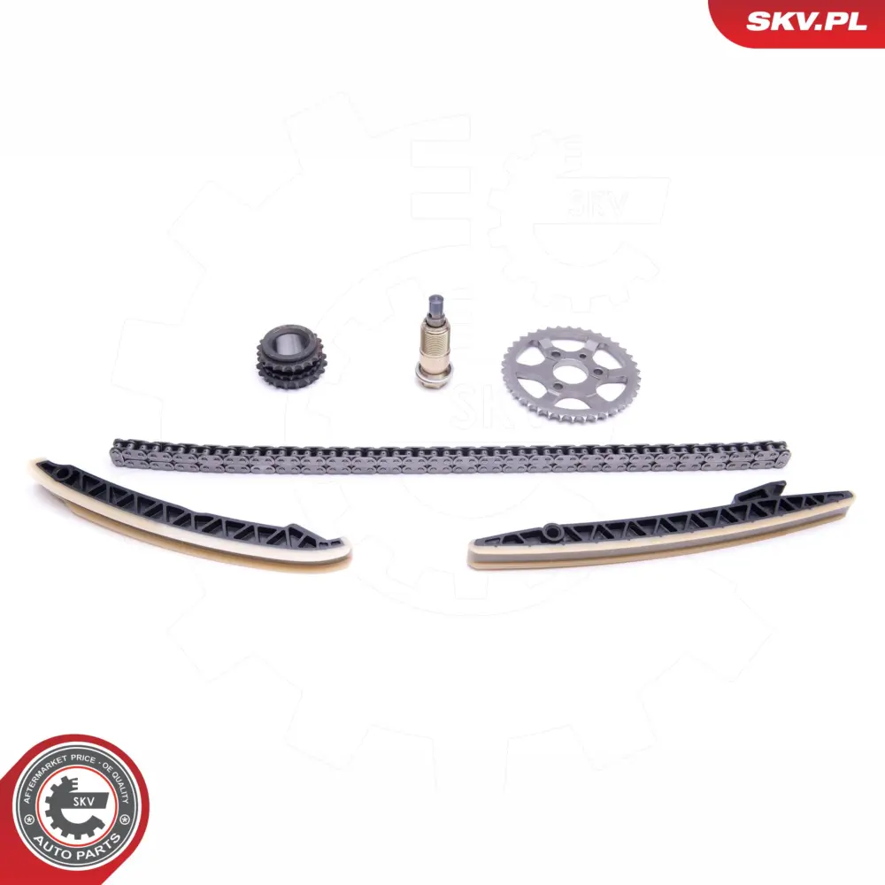 Kit catena distribuzione per Smart Forfour (454) 6400500103