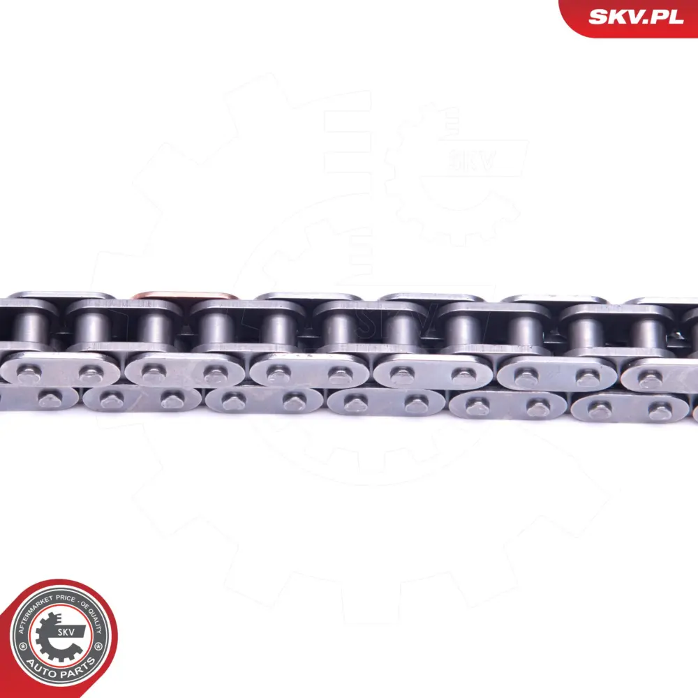 Kit catene, Azionamento pompa per Audi A4 B7 (8EC) A4 B7 Avant (8ED) 03G103333E