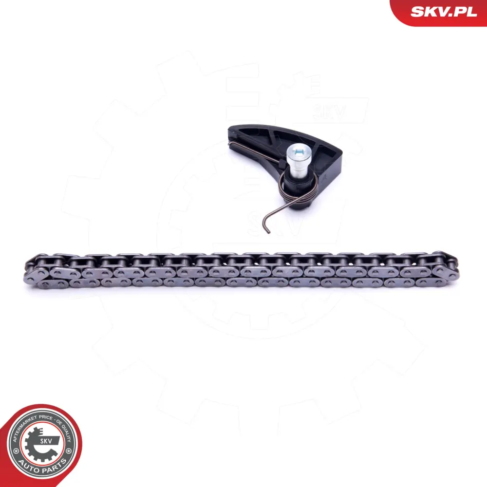 Kit catene, Azionamento pompa per VW Golf Plus V (5M1) Golf V (1K1) 036109507AE