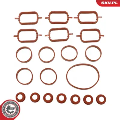 Kit di riparazione del collettore di aspirazione BMW 3 (E46, E90, E91) 5 (E39, E