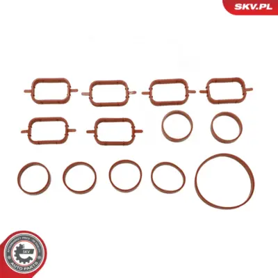 Kit di riparazione del collettore di aspirazione BMW 3 (E46, E90, E91) 5 (E39, E