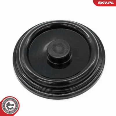 Kit di riparazione membrana per VW Passat B5.5 (3B3) Sharan (7M8 7M9) 038103469