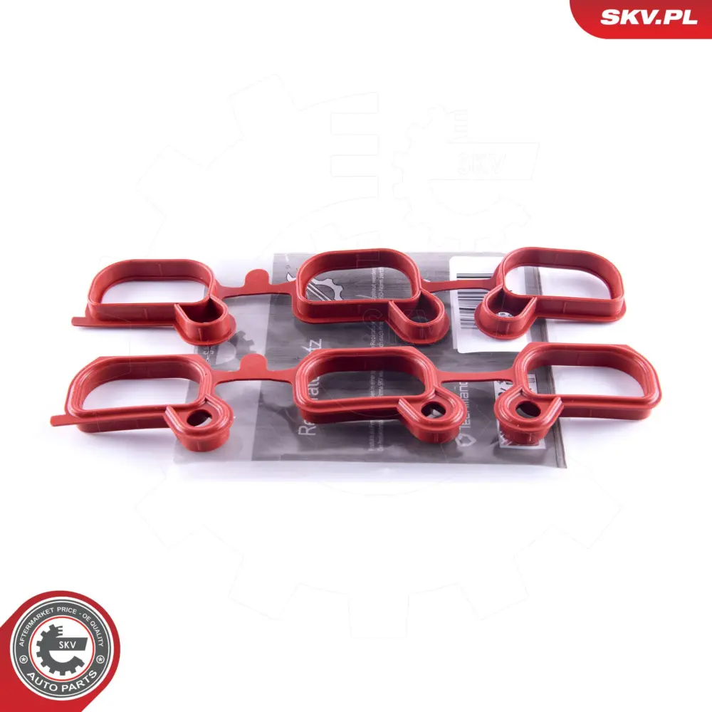 Kit di riparazione per BMW Serie 3 (E46) 5 (E39) Z3 (E36) Z4 (E85) 11611436631