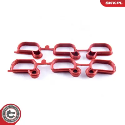 Kit di riparazione per BMW Serie 3 (E46) 5 (E39) Z3 (E36) Z4 (E85) 11611436631