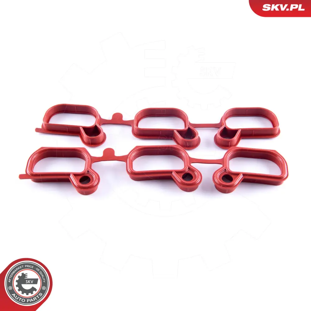 Kit di riparazione per BMW Serie 3 (E46) 5 (E39) Z3 (E36) Z4 (E85) 11611436631