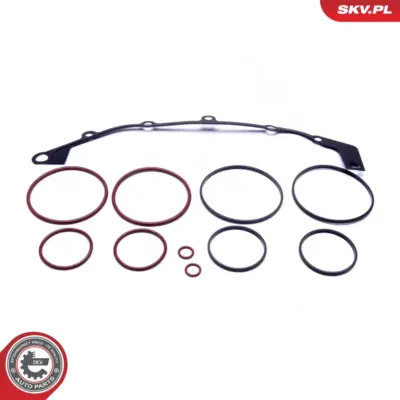Kit di riparazione per BMW Serie 5 (E39) 3 (E36) Z3 (E36) 11361438448