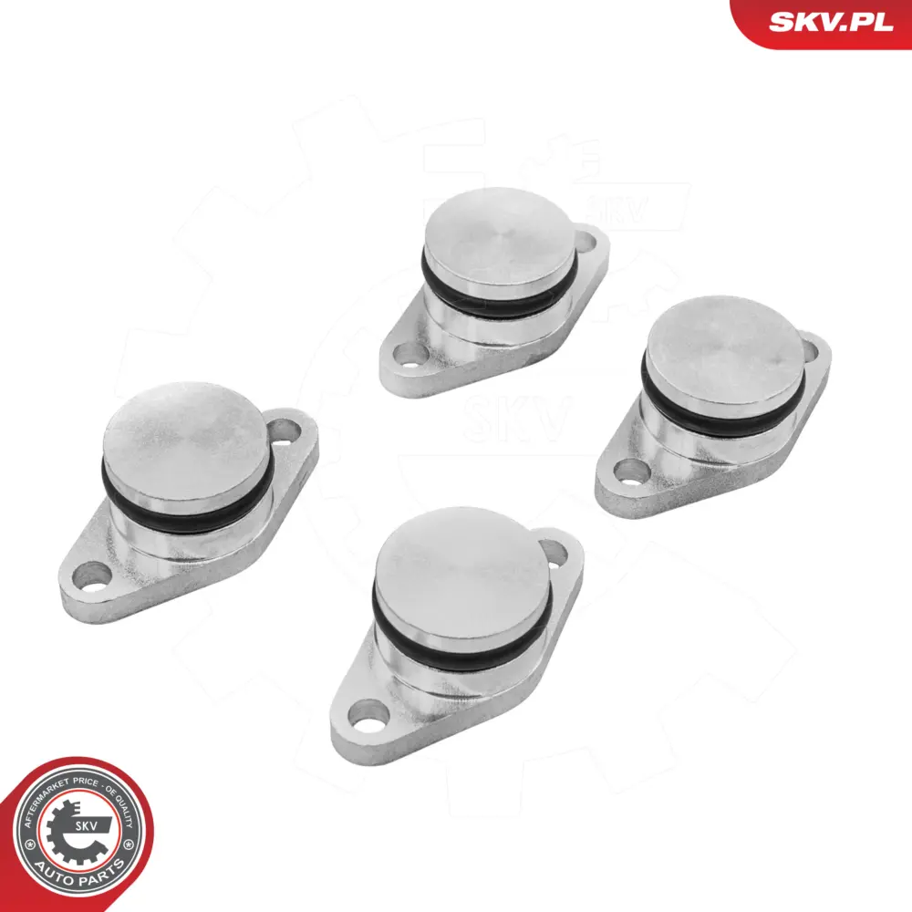 Kit di riparazione per BMW Serie 5 (E39) 3 (E46) X5 (E53) X3 (E83) 11612245439