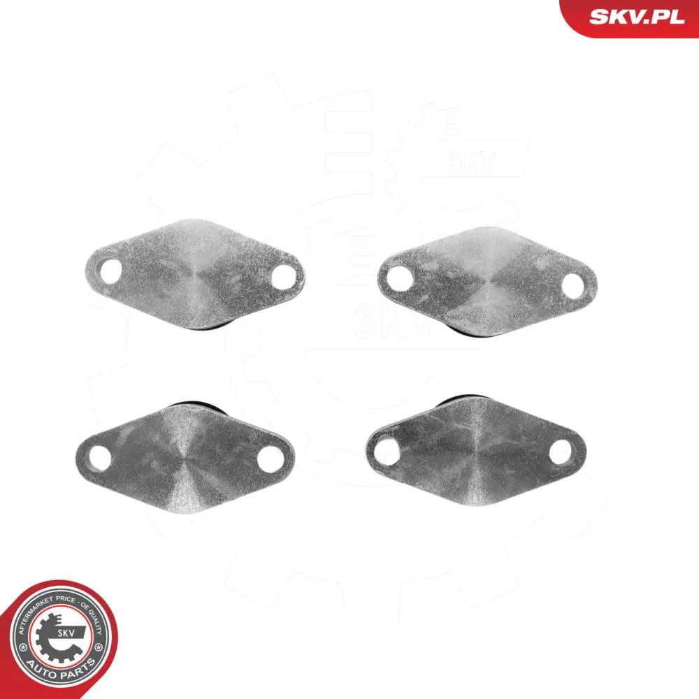 Kit di riparazione per BMW Serie 5 (E39) 3 (E46) X5 (E53) X3 (E83) 11612245439