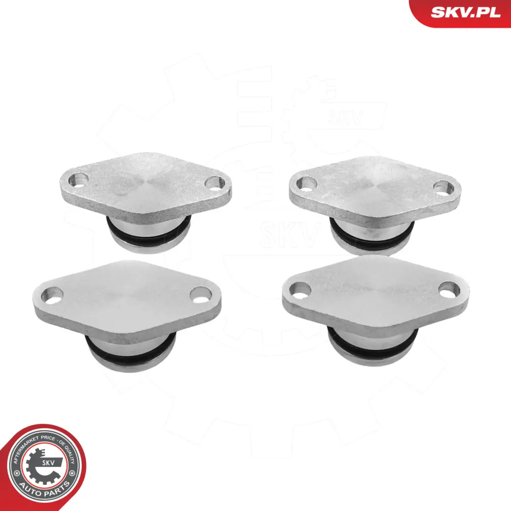 Kit di riparazione per BMW Serie 5 (E39) 3 (E46) X5 (E53) X3 (E83) 11612245439
