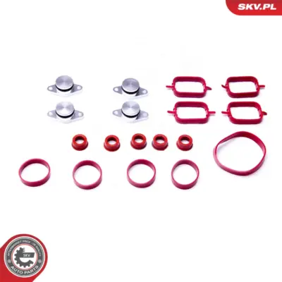 Kit di riparazione per BMW Serie 5 (E39) 3 (E46) X5 (E53) X3 (E83) 11612246949