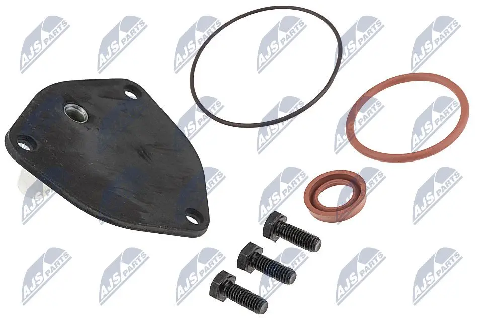 Kit Riparazione Pompa Vacuum per Audi A4 1.9 TDI 1995- e Altri Modelli