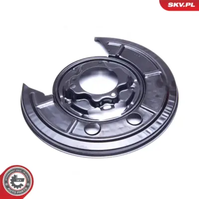 Lamiera paraspruzzi, Disco freno per Fiat Ducato Platform/Chassis 4211C4