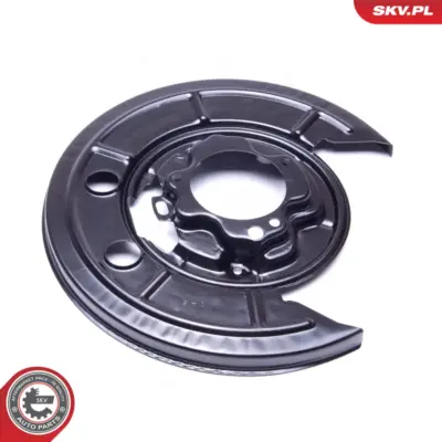 Lamiera paraspruzzi, Disco freno per Fiat Ducato Platform/Chassis 4212C4