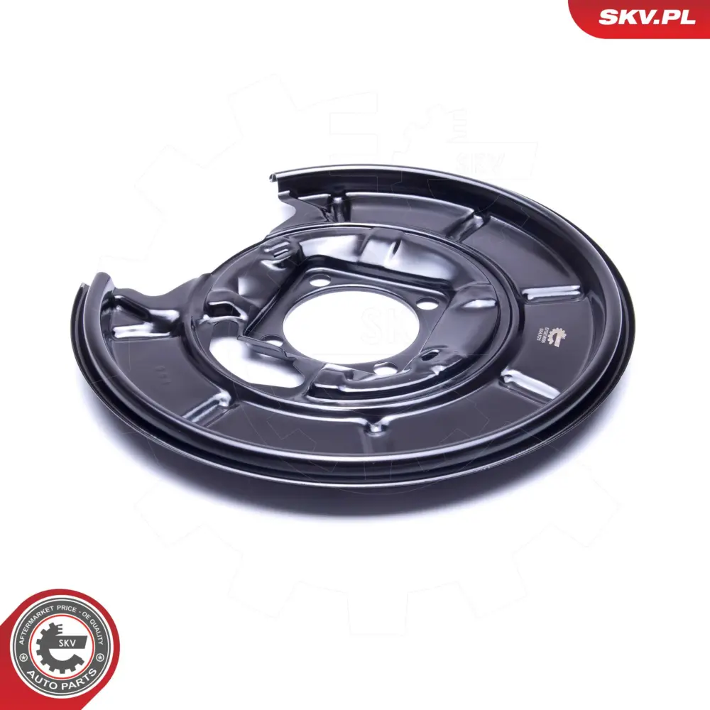 Lamiera paraspruzzi, Disco freno per Mercedes Classe A (W169) 1694230120