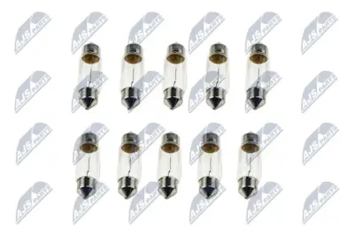 Lampadine C10W 12V 10W Base SV8,5-8 Confezione da 10 Pezzi