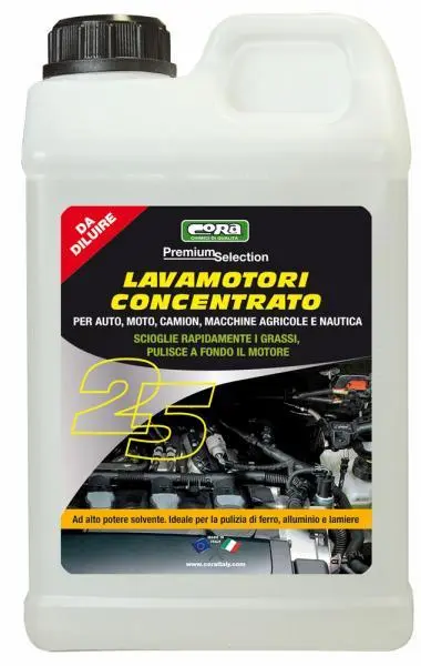 Lavamotori concentrato liquido detergente motore pulizia auto 2 litri
