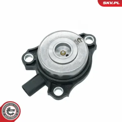 Magnete centrale, Regolazione albero a camme 271 050 01 77