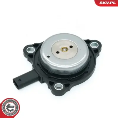 Magnete centrale, Regolazione albero a camme per Dacia Dokker MPV 2379 691 C0N