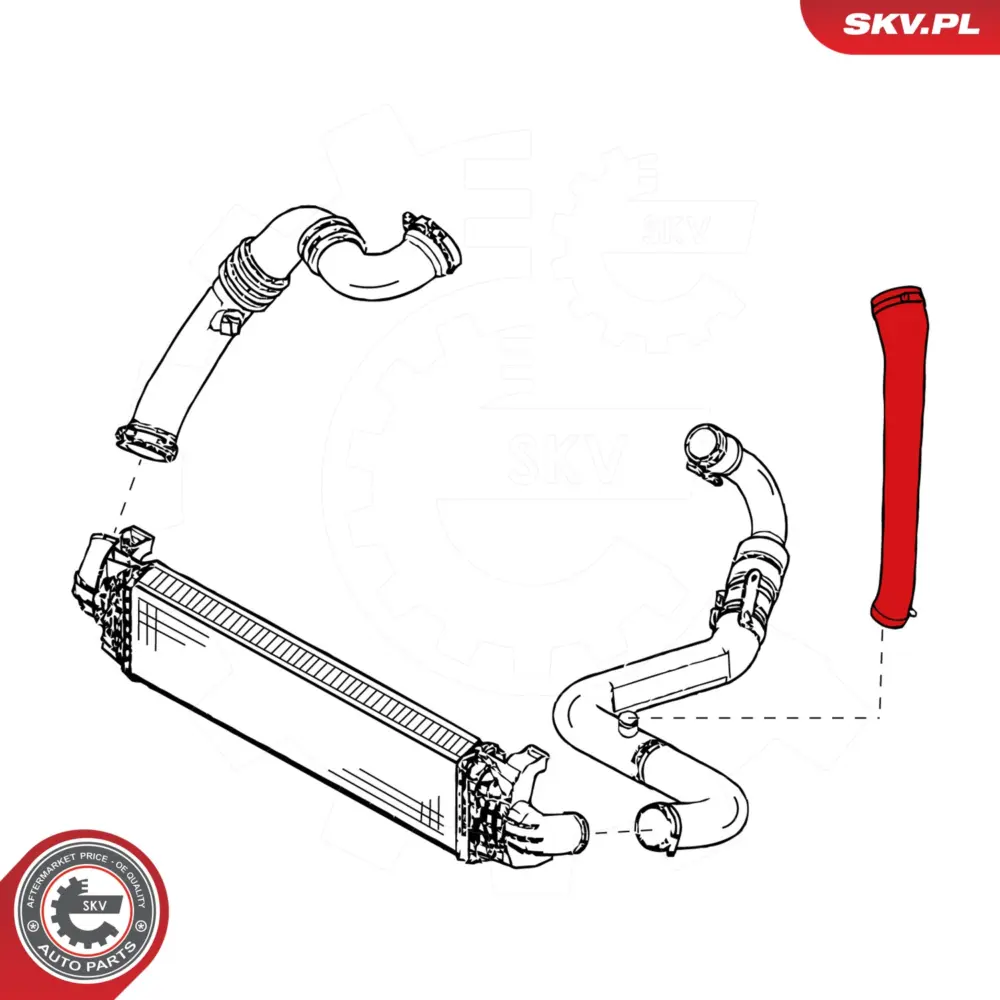 Manicotto turbina per Ford C-max (DM2) Focus C-max (DM2) Focus II (HCP) 1257258