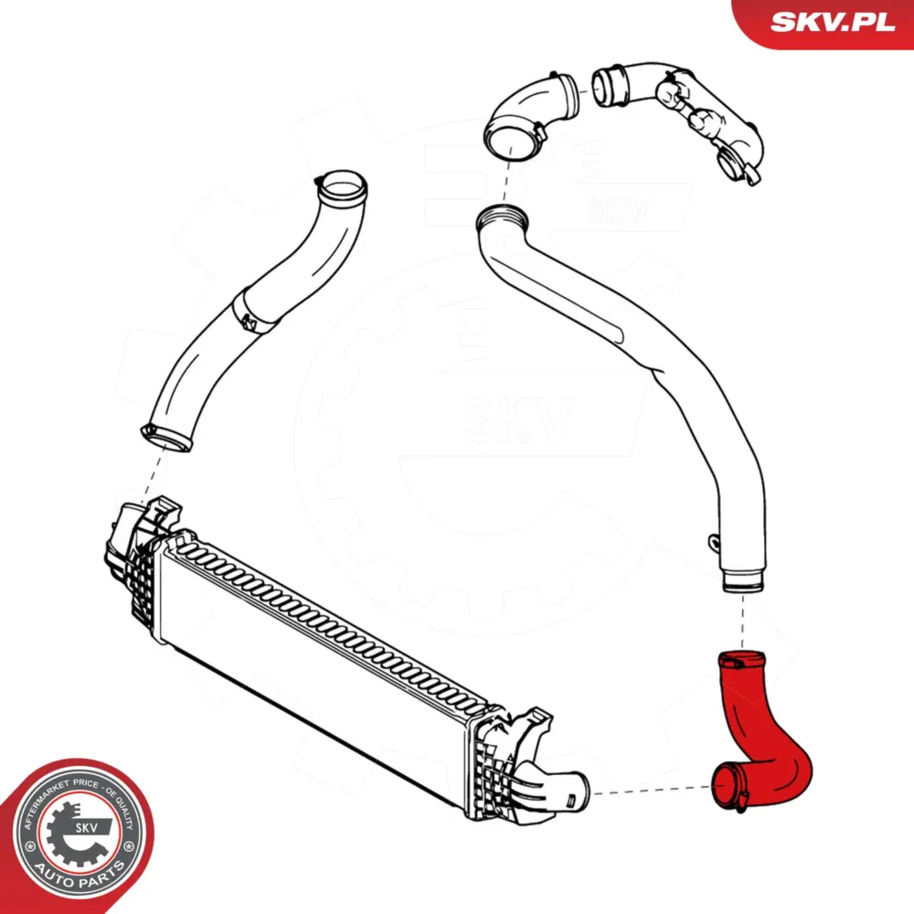 Manicotto turbina per Ford C-max (DM2) Focus C-max (DM2) Focus II (HCP) 1439410