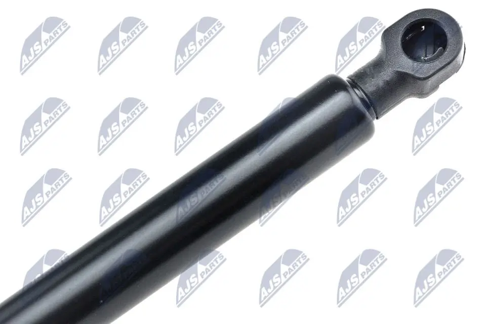 Molla a Gas Cofano Motore 313mm 330n per BMW 5 E60 E61 01-10
