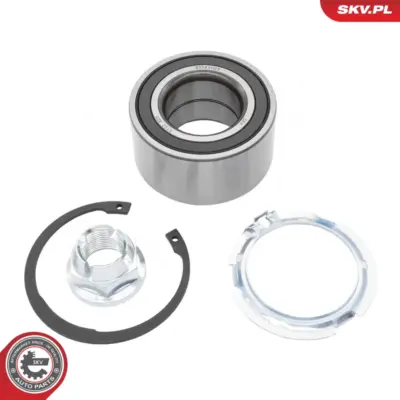 Mozzo cuscinetto ruota per Renault Clio II Kangoo Express (FC0) 21 46423869