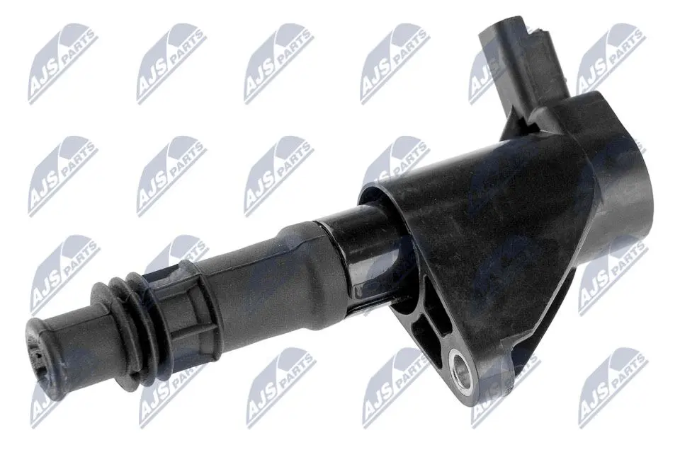 NTY Bobina D'accensione per Citroen C5 3.0 2004-2008, C6 3.0, Laguna 3.0