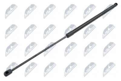 NTY Molla a Gas Portellone Posteriore per Citroen C4 Picasso (2013-)