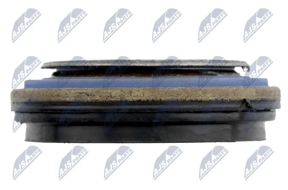 NTY Paraolio Albero Primario per Chevrolet Captiva C100 07- e Opel Antara 06