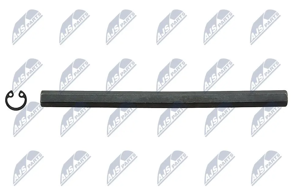 NTY Zabierak Pompa Olio 2.0TDI per Audi A3 A4 A5 A6 Q5 TT e Altri