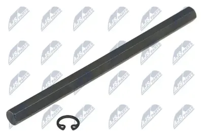NTY Zabierak Pompa Olio 2.0TDI per Audi A3 A4 A5 A6 Q5 TT e Altri