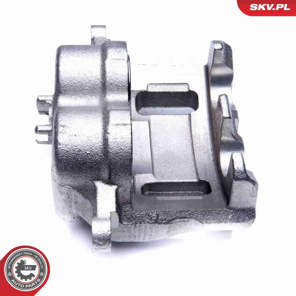 Pinza freno anteriore destra 581304D200