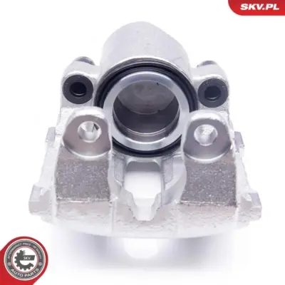 Pinza freno anteriore sinistra per BMW Serie 5 (E39) X5 (E53) 7 (E38) 1163303