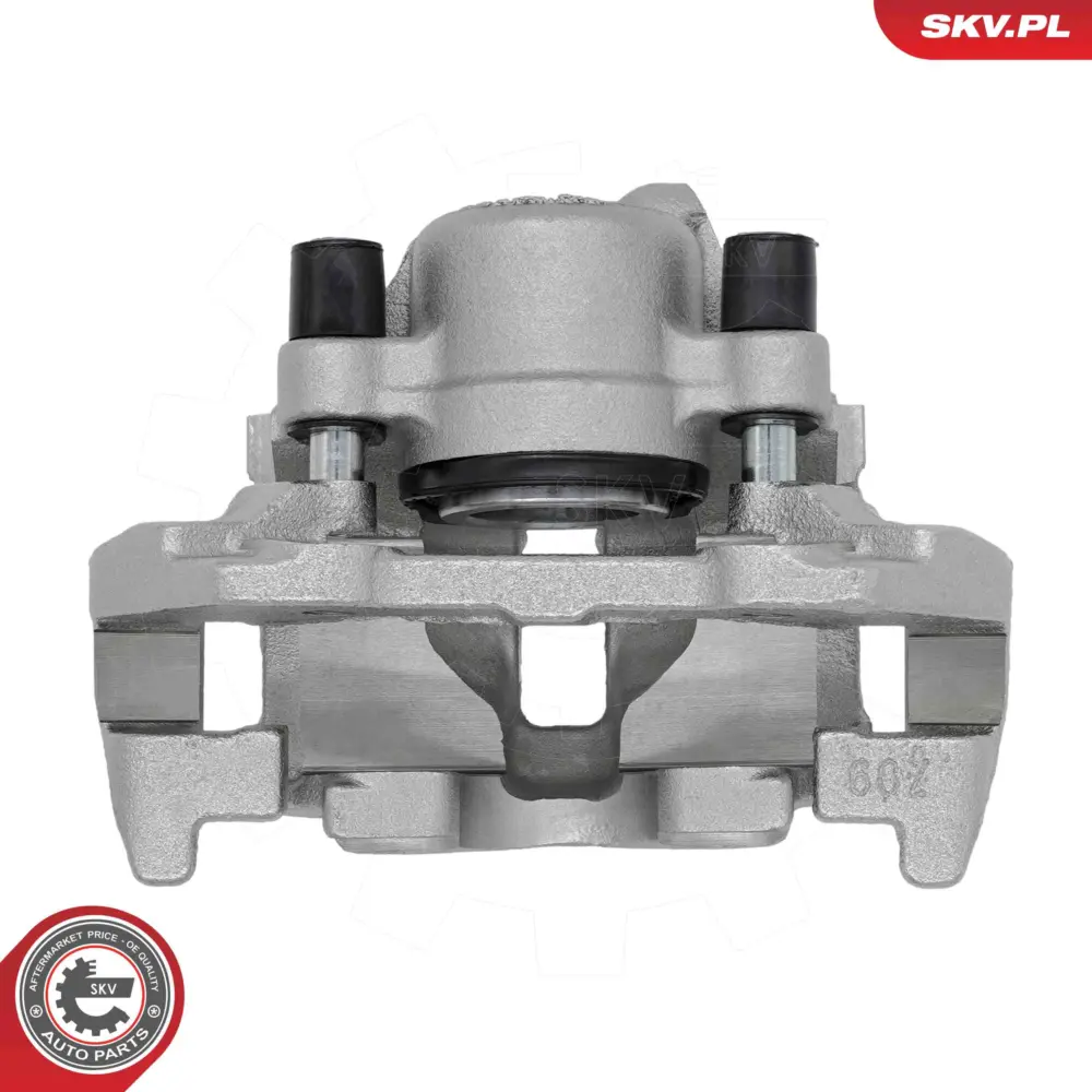 Pinza freno con supporto posteriore destra 2D0 615 424