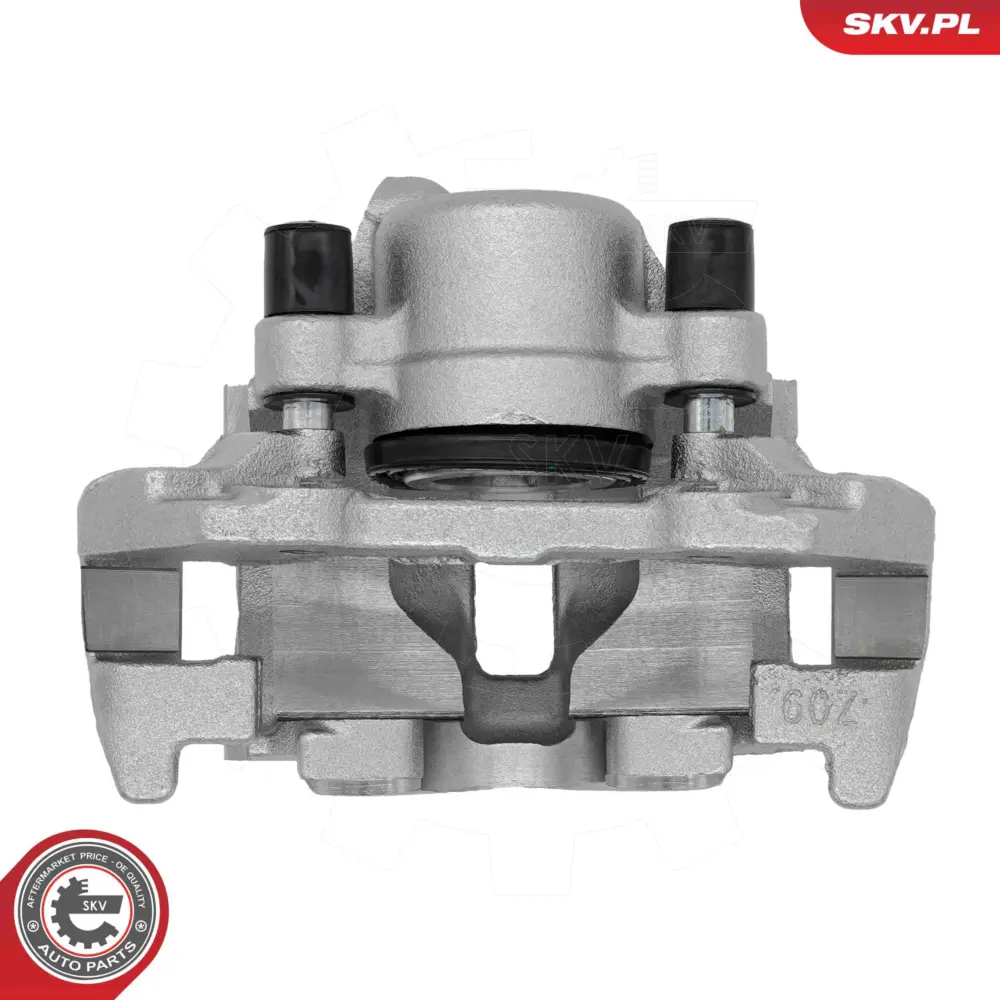Pinza freno con supporto posteriore sinistra 2D0 615 423