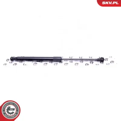 Pistone portellone pneumatico, Cofano motore per BMW Serie 1 (E88) 51237118370