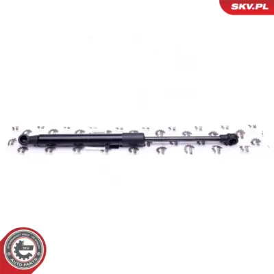 Pistone portellone pneumatico, Cofano motore per BMW Serie 5 (E60) 51237008745