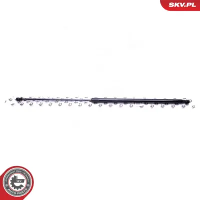 Pistone portellone pneumatico, Cofano motore per BMW Serie 7 (E65) 51238240596