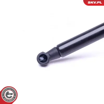 Pistone portellone pneumatico, Cofano motore per BMW X5 (E53) 51238402551