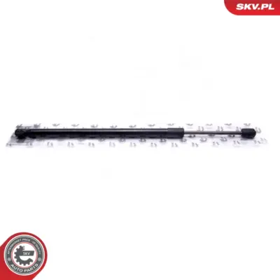 Pistone portellone pneumatico, Cofano motore per BMW Z4 (E89) 51237285823