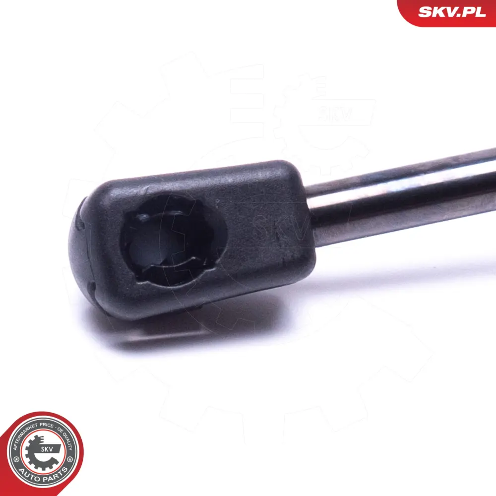 Pistone portellone pneumatico, Cofano motore per Dacia Duster 65 47 109 44R