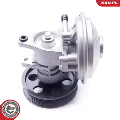 Pompa a vuoto freno per Fiat Ducato Platform/Chassis Ducato Van 456532
