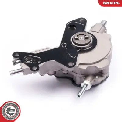 Pompa a vuoto freno per VW Bora I (1J2) Bora Variant (1J6) EOS (1F7) 038145209