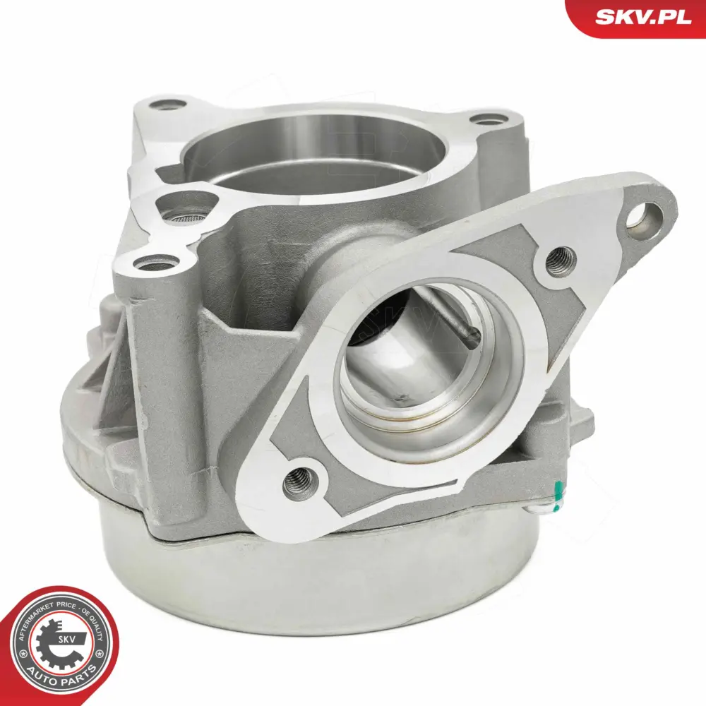 Pompa a vuoto freno per VW Passat B6 (3C2) Passat B6 Variant (3C5) 06H 145 100AB